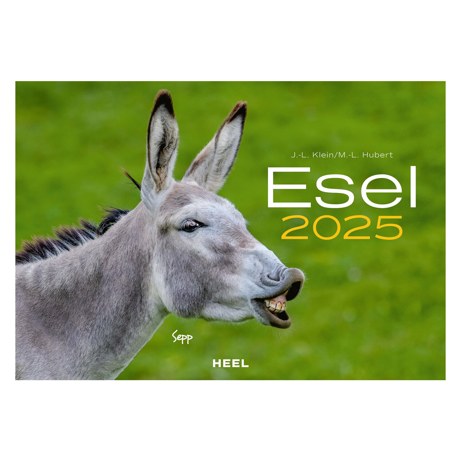Kalender Esel  - 2025