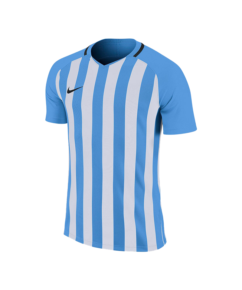 Nike Striped Division III Trikot Blau F412