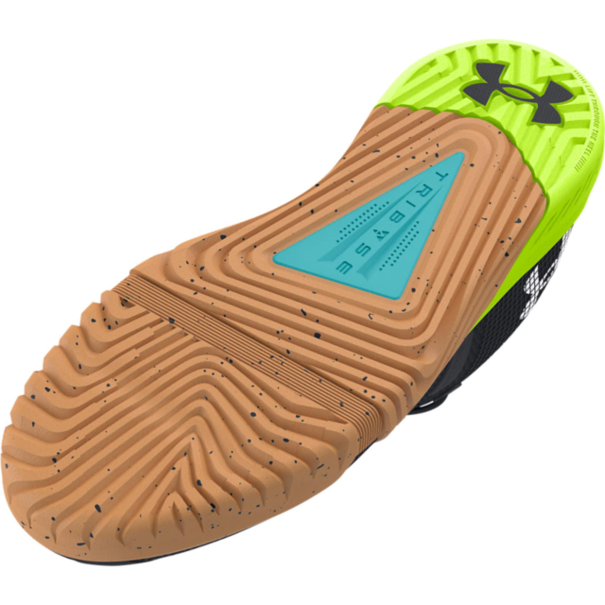 Under Armour<br>TriBase Reign 6