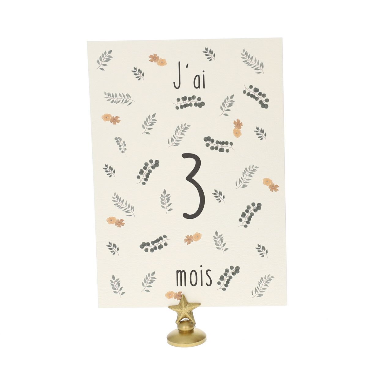 Lot de 12 cartes Ma première année de bébé Atelier jasmin