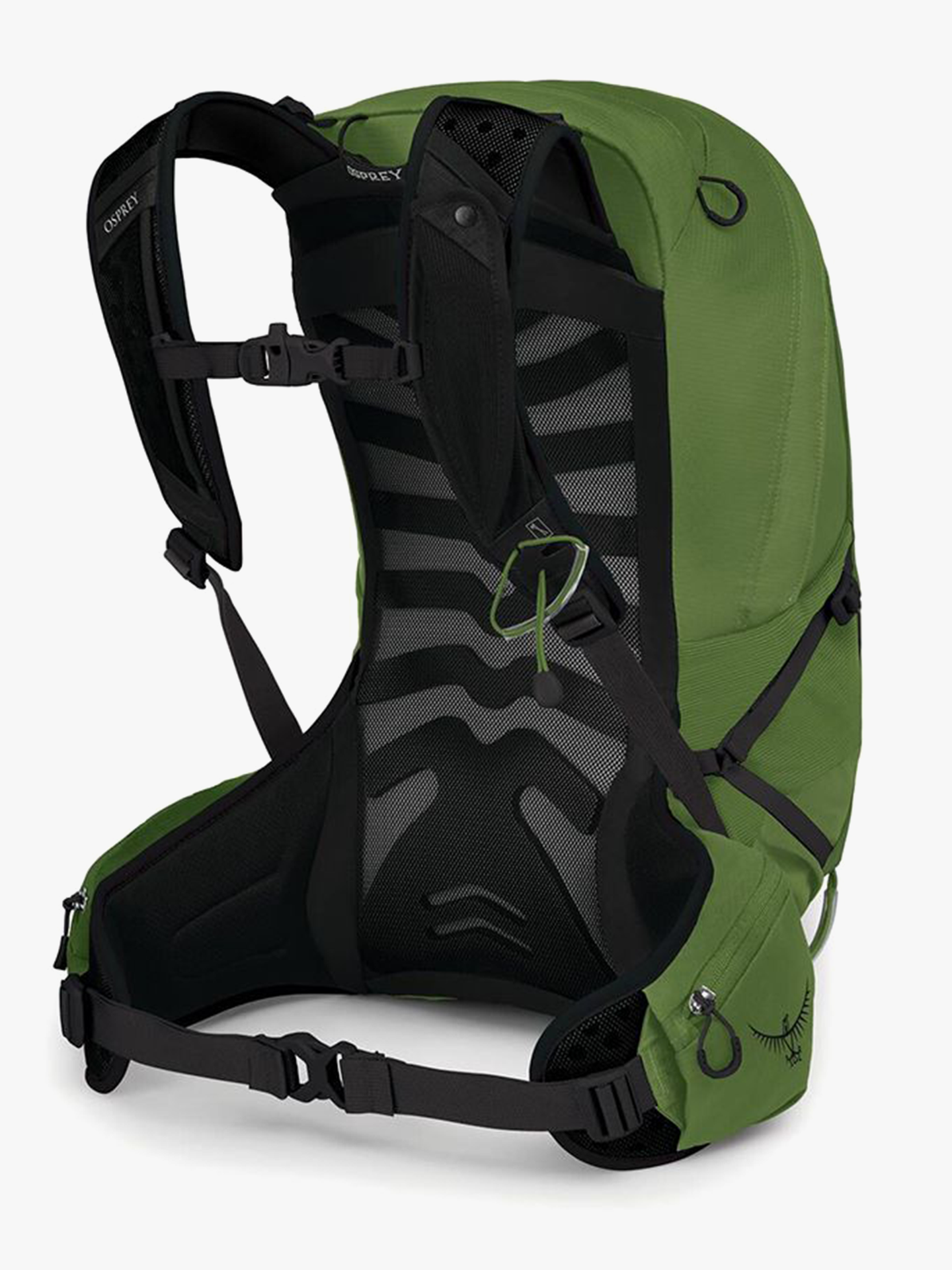 Osprey Talon 22