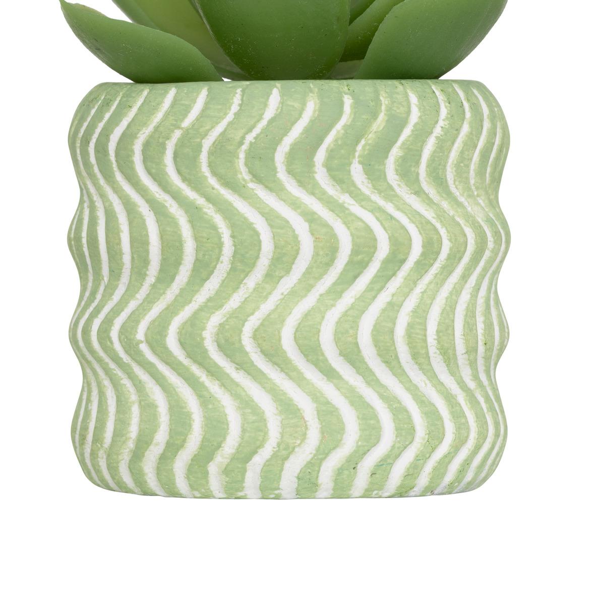 MINI PLANTE GRASSE POT CIMENT UBI H.7CM