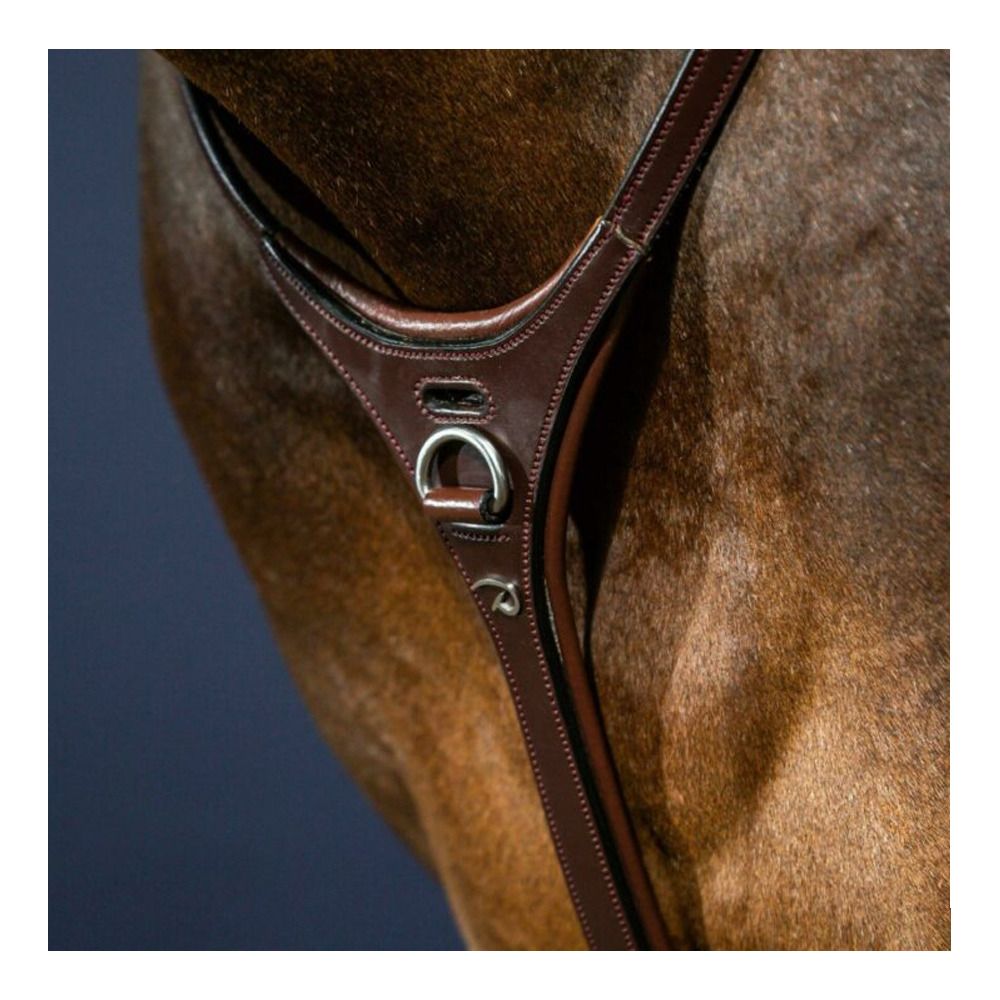 Dy'on NEW ENGLISH COLLECTION - Yoke brun