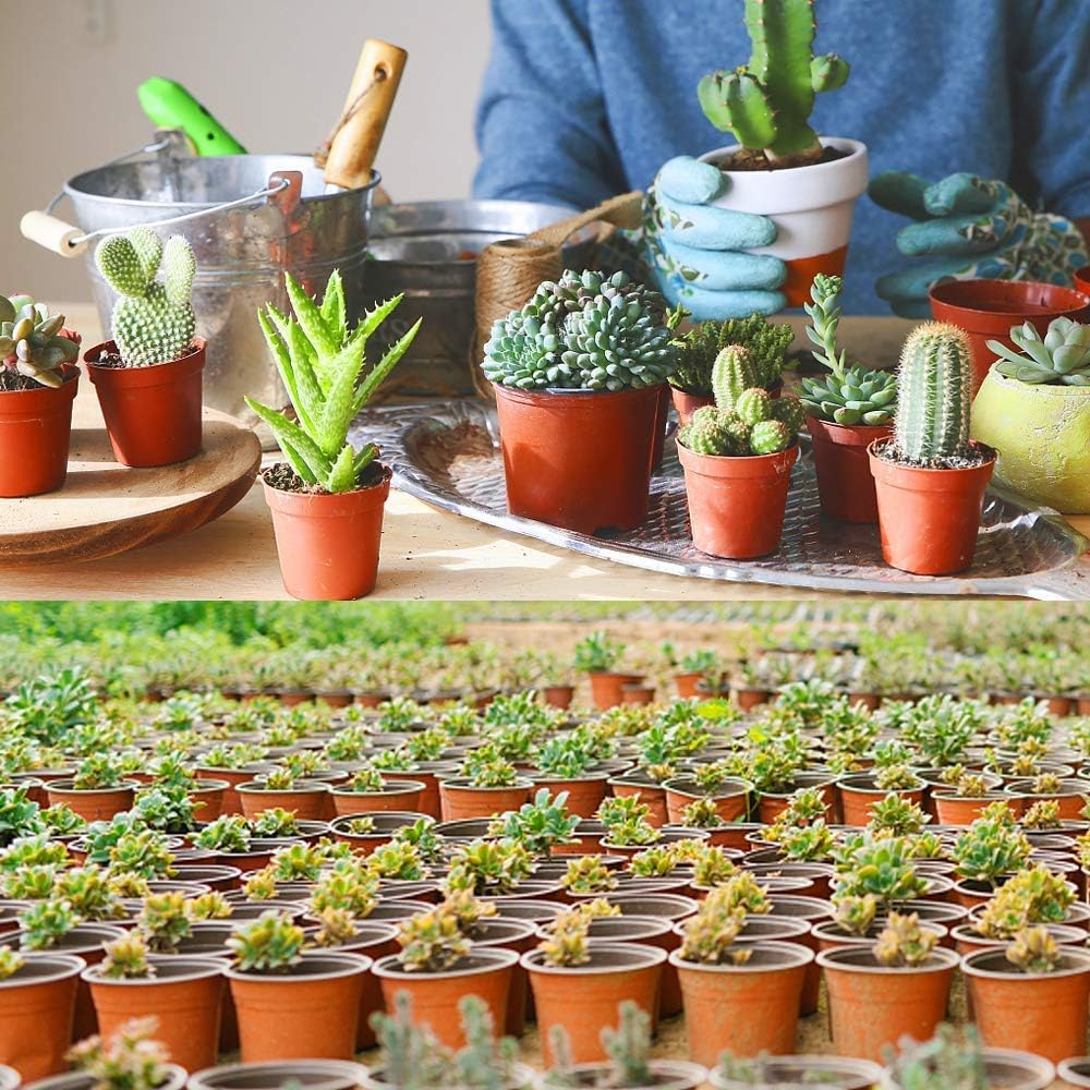 (10er Set) Ø10cm Einweg Pflanzen Topf Garten Anzucht Pflanzenkübel Blumentopf mit Ablauf Löchern - Braun