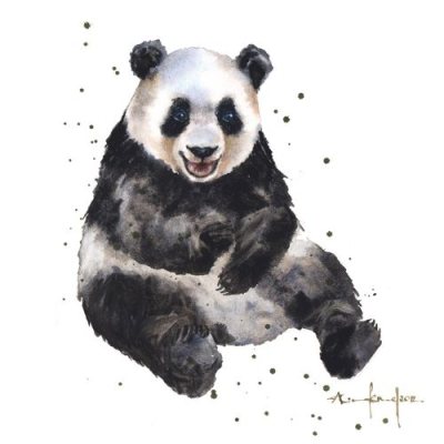 Andy Panda Card