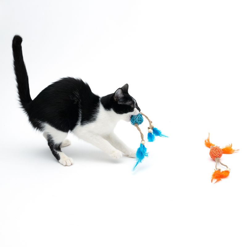 Lot de jouets TIAKI Petites balles en osier avec plumes