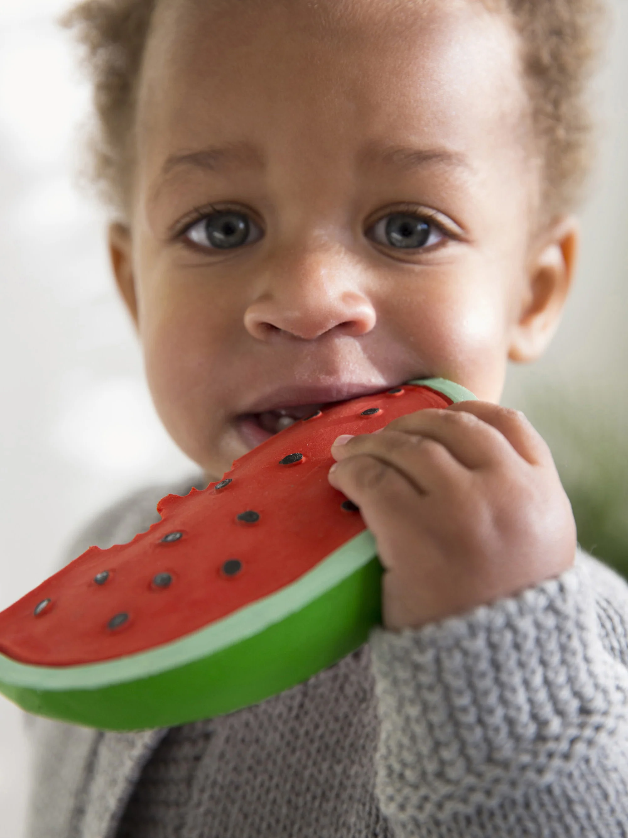 Handgemaakte bijtring Fruits & Veggies