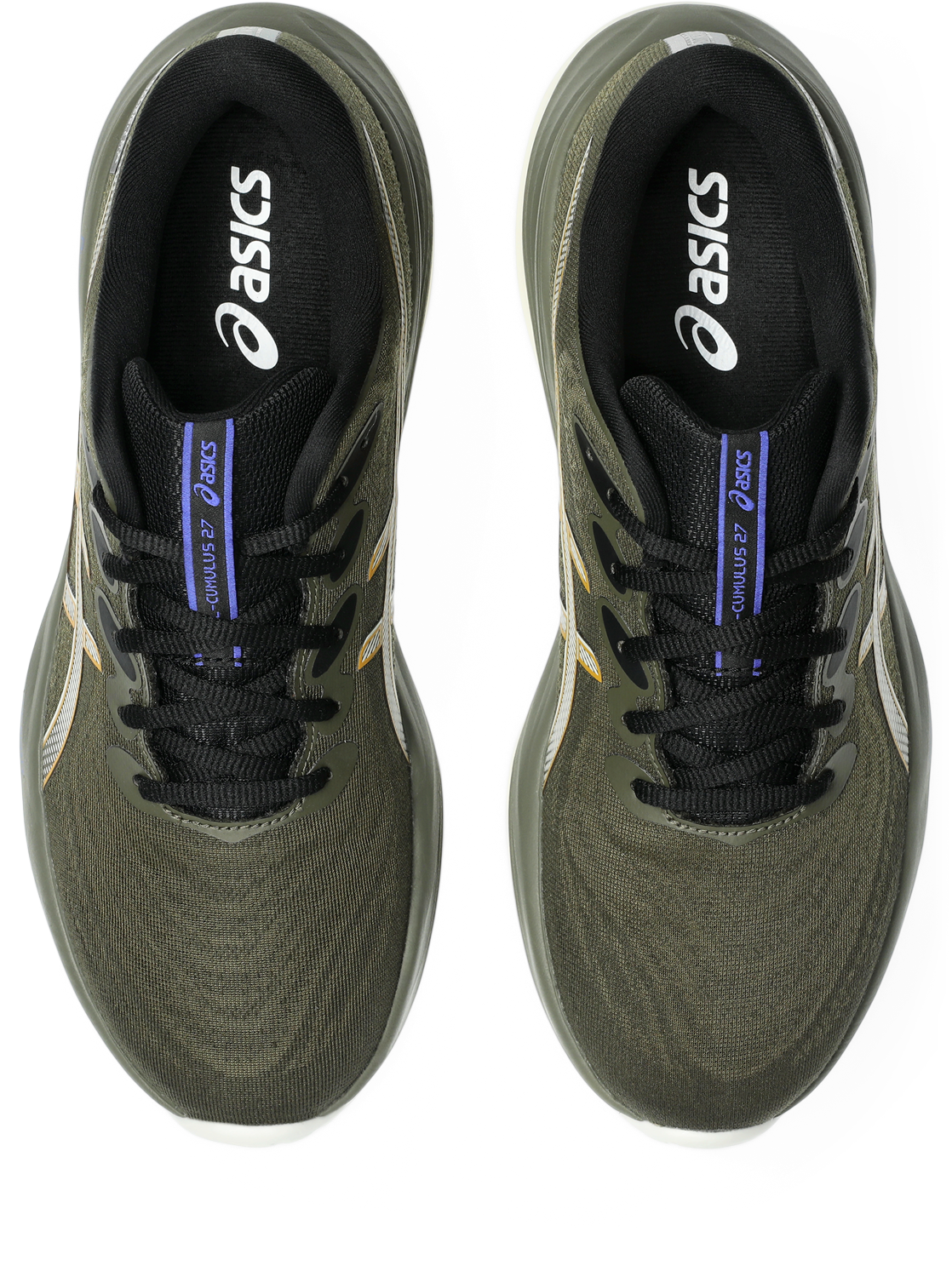 Asics Laufschuh »GEL-CUMULUS 27 GORE-TEX«  wasserdicht