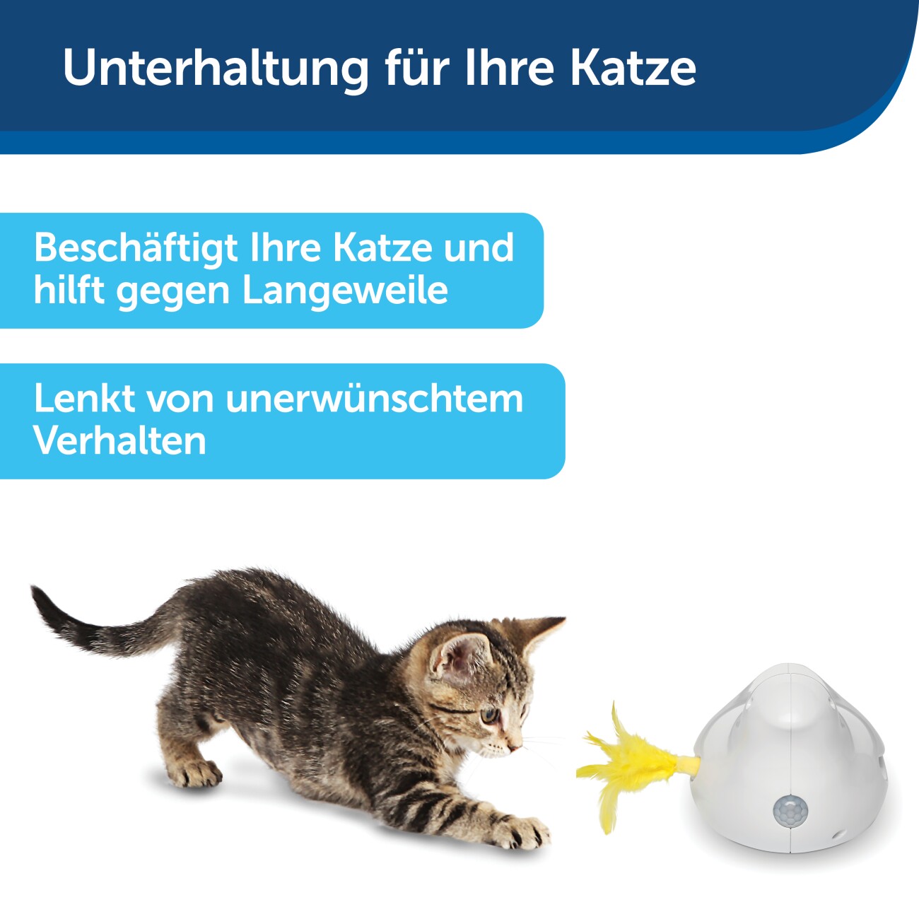 PetSafe Peek-a-Bird Katzenspielzeug