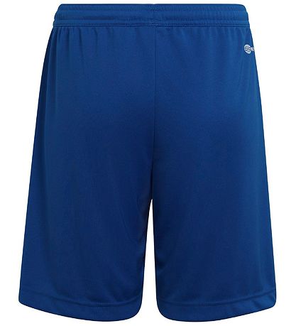 adidas Performance Shorts - Blau/Weiß