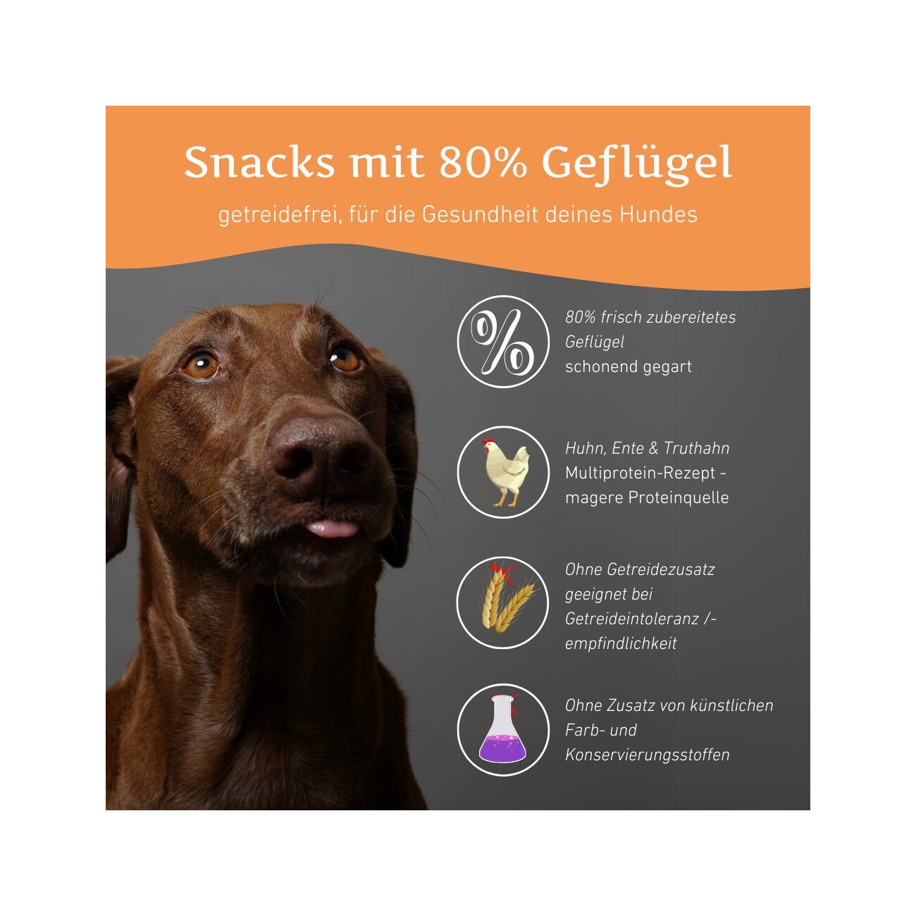 Wildfang Snacks mit 80 % Geflügel - getreidefrei 100 g