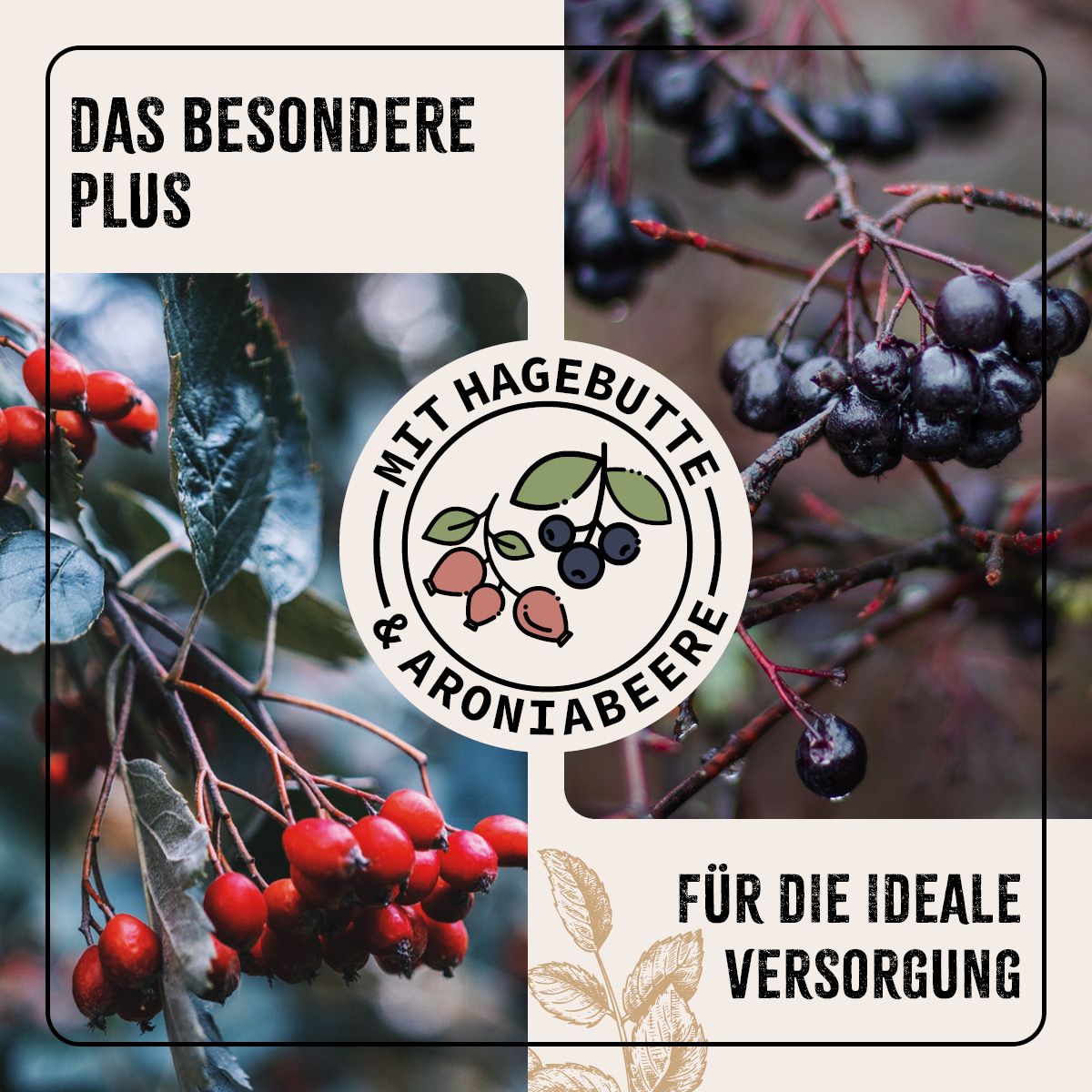 AniForte FarmLife Geflügel Vital Mix Pulver