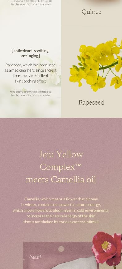 MIZON - Joyful Time Mask Jeju - 5 soorten