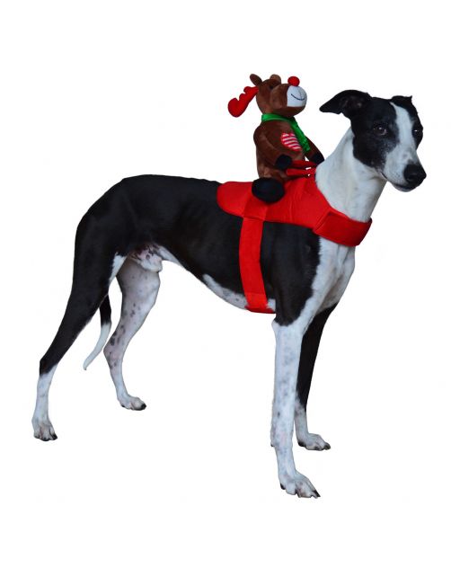 Adori Kerst Verkleed Set Rendier Rood&Bruin - Hondenkleding