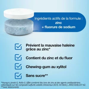 Boost Menthe Forte Fraîcheur Instantanée - 10 Gommes à Mâcher