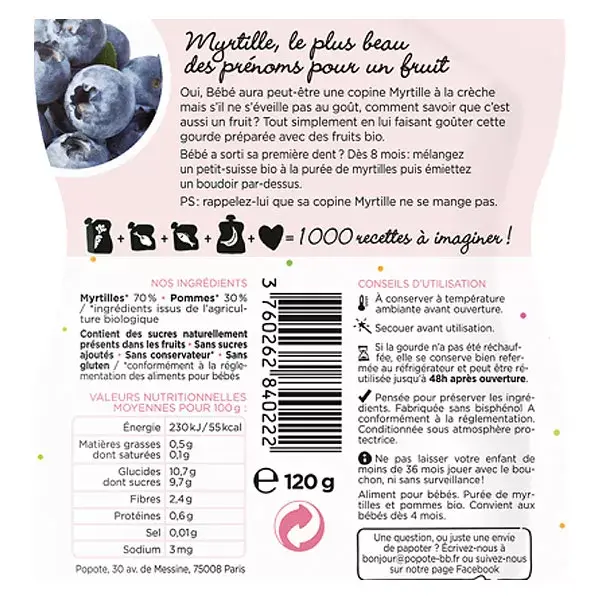 Popote Les Fruits Mirtilo em sachê +4m Orgânico 120g