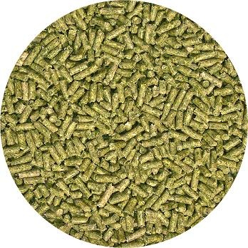 Zoo Med Adult Iguana Food 567G (Leguaan)