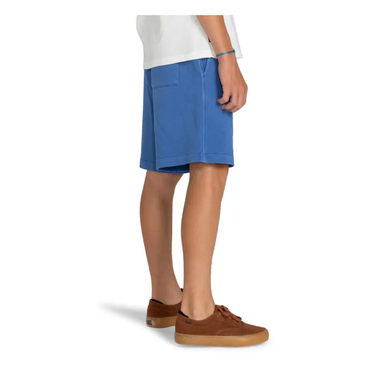 Element Short Cornell | Bleu marine
