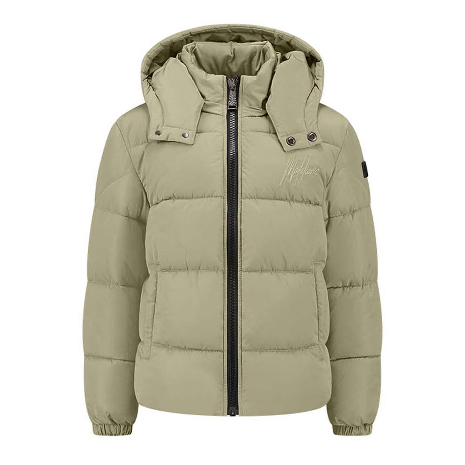 Malelions  Junior Donn Puffer