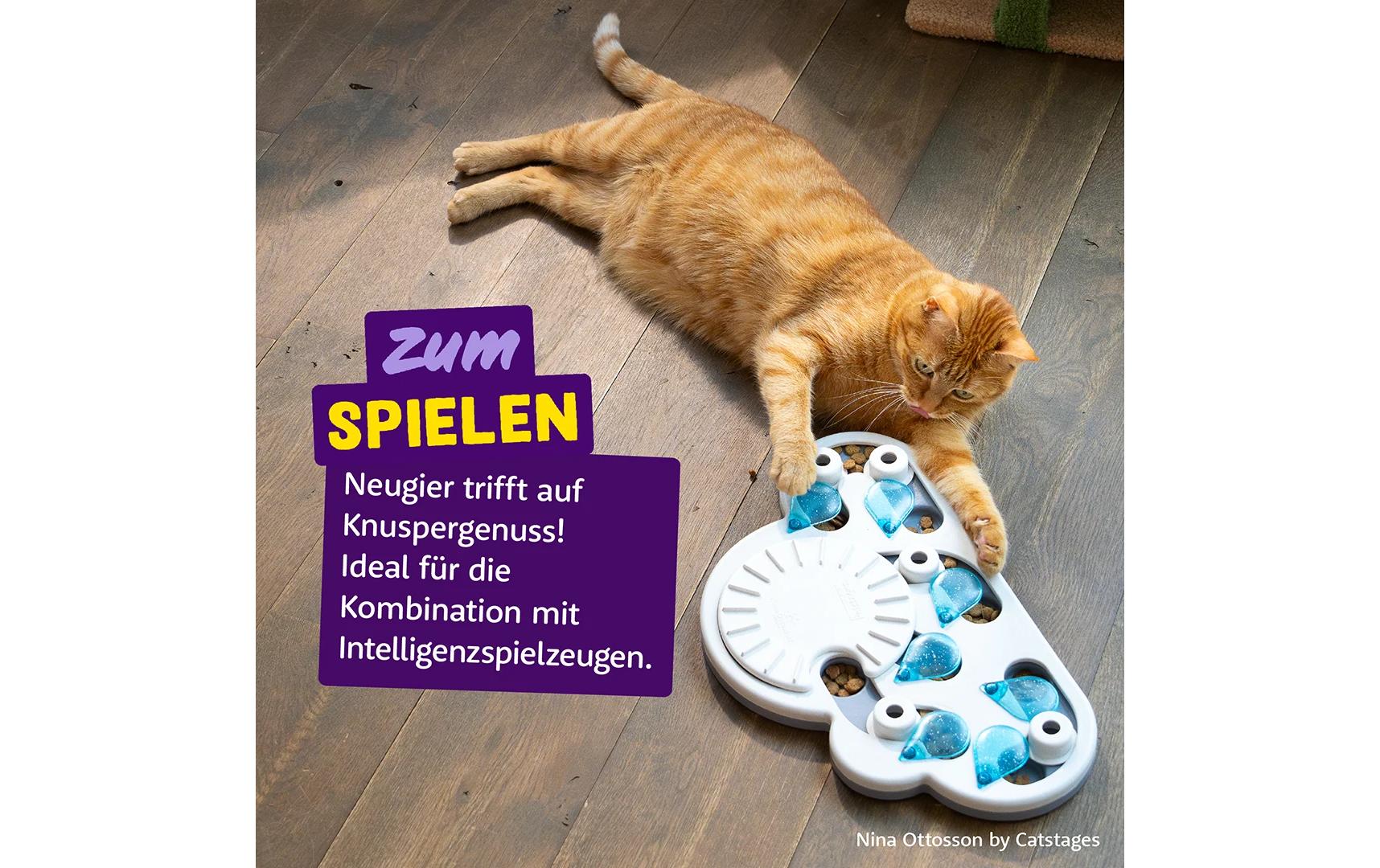 Katzen-Snack Crunchies Lachs 50 gSnack für Katzen