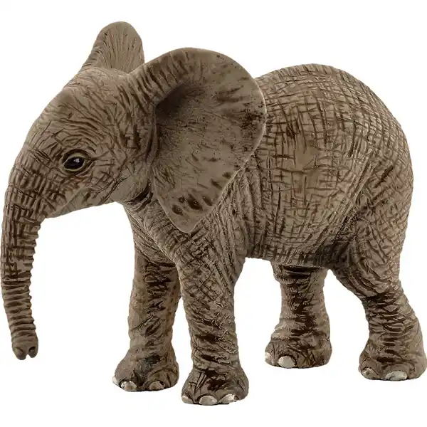 14763 Wild Life Afrikanisches Elefantenbaby
