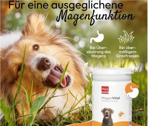 PHA MagenVital für Hunde Pulver, 200 g