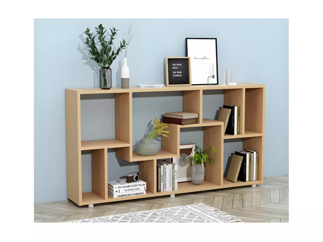 Étagère Séparation de pièce Bibliothèque Lanisa L