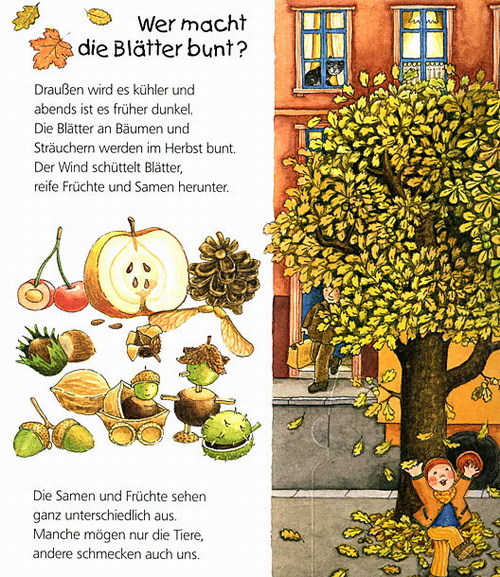 Die Jahreszeiten / Wieso? Weshalb? Warum? Junior Bd.10