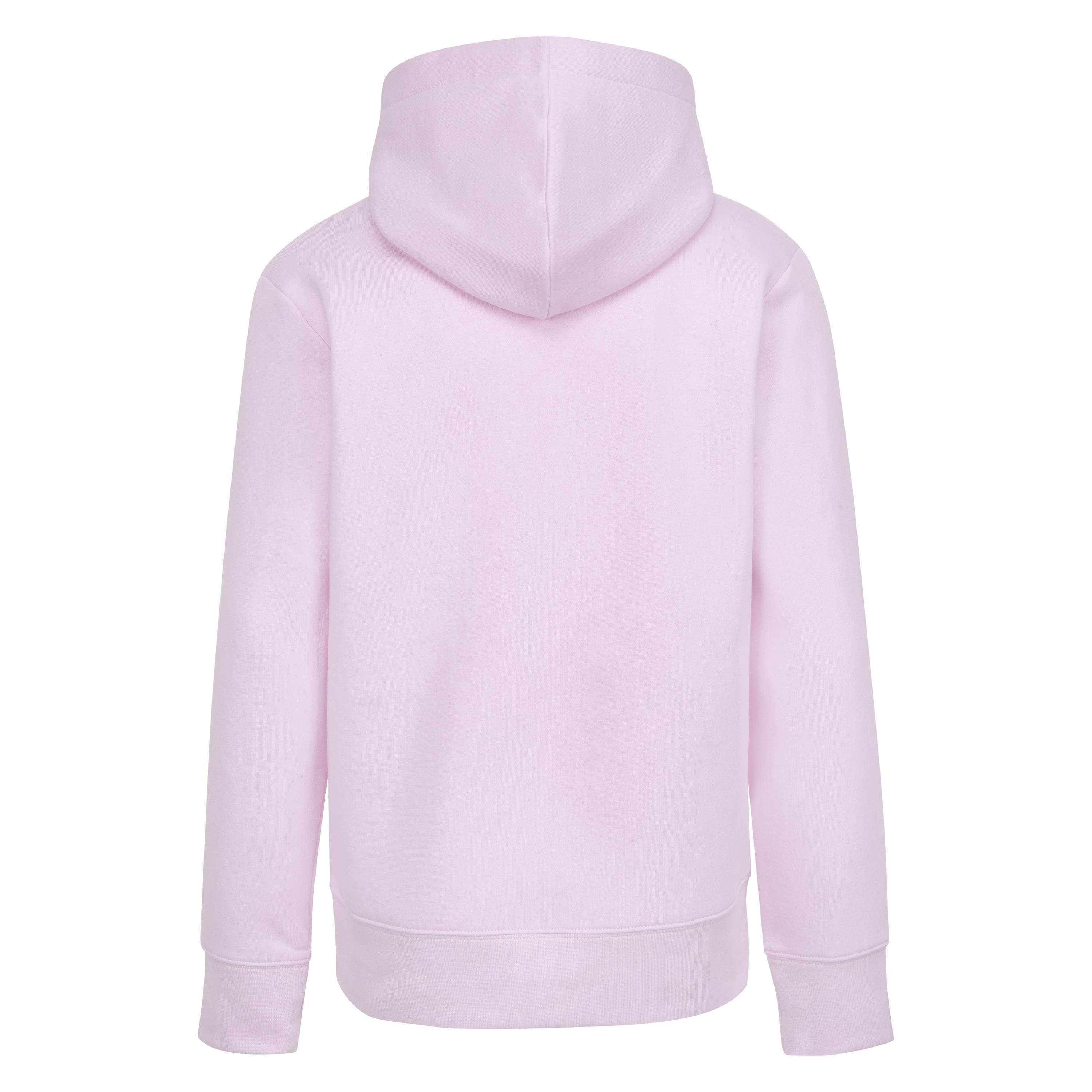 Air Jordan Logo 23 Hoodie Juniors