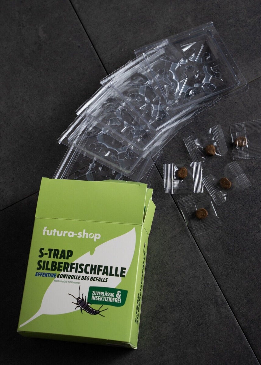 Zilvervisjesval