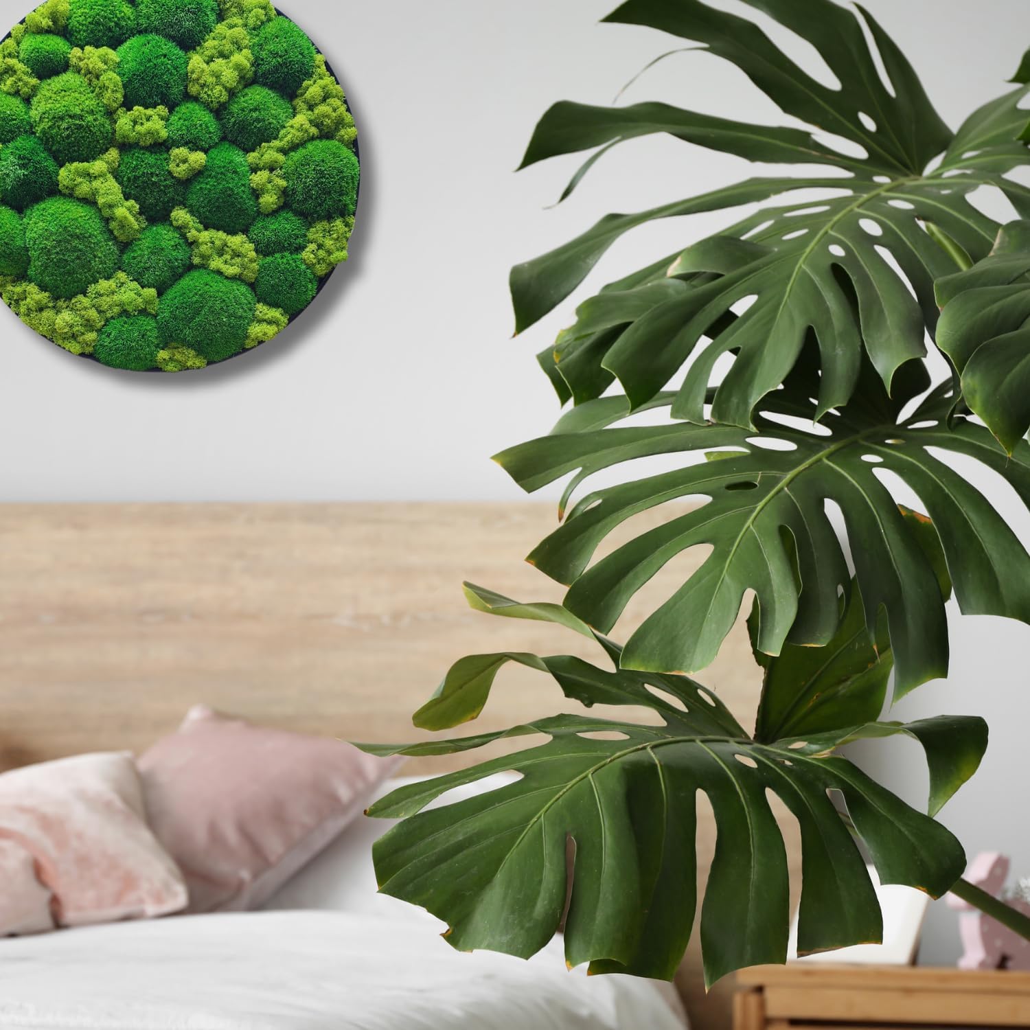 HelloMoss Moosbild mit Rahmen Rund – Wanddeko aus stabilisiertem Moos | Metallrahmen schwarz/weiß | 40/50/60 cm | Naturbild ohne Pflege | Dekoration für Büro & Zuhause (Weiß, 40 cm, Metall)