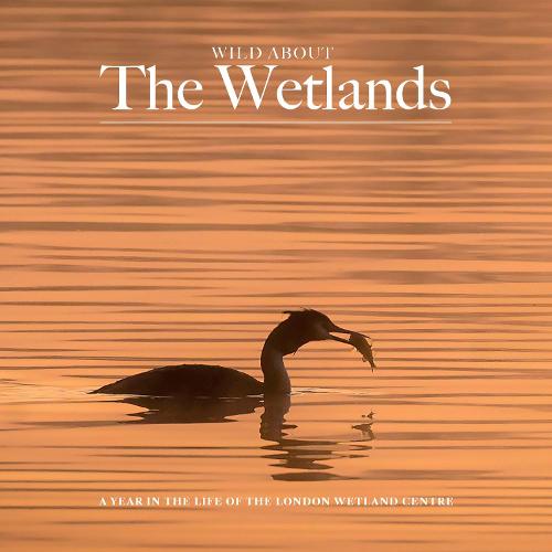 Wild about The Wetlands: A Year in the Life of The London Wetland Centre (Hardback)