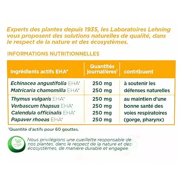 Solução oral de equinácea de inverno Lehning nº 40, 30 ml