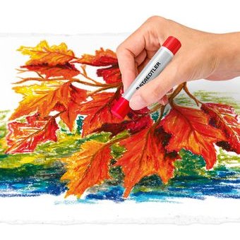 Pastels a l'huile staedtler 2420 design journey assortis  - lot de 12 etuis carton de   24 un