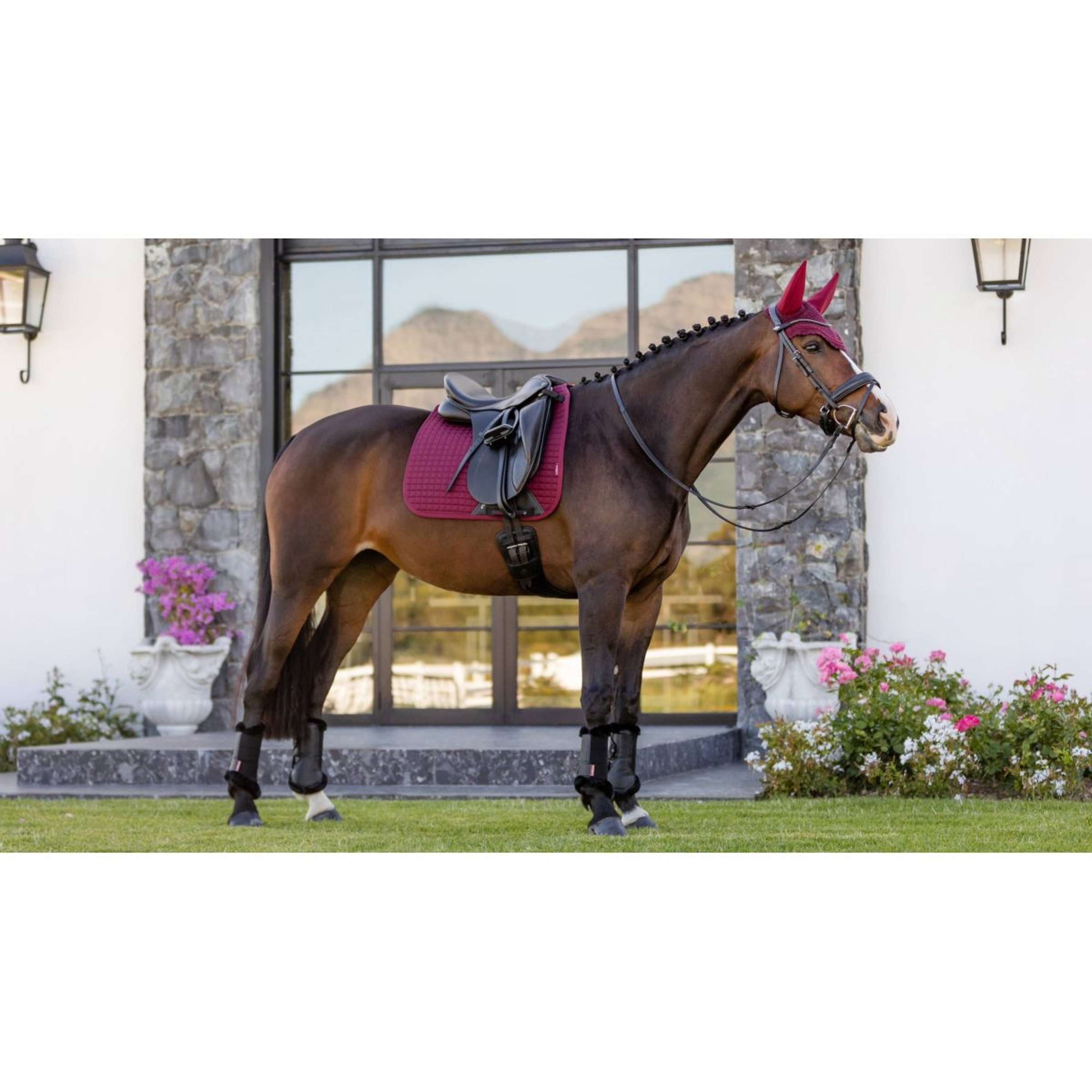 LeMieux Zadeldekje Prosport Plain Square D-Ring Dressuur Burgundy
