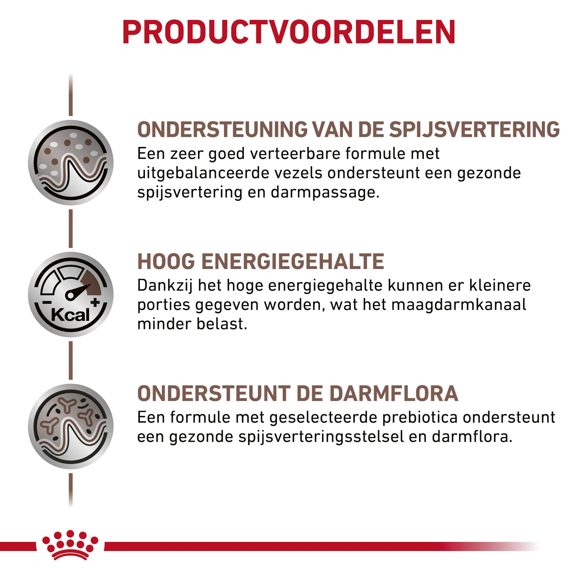 Royal Canin Gastrointestinal Kat