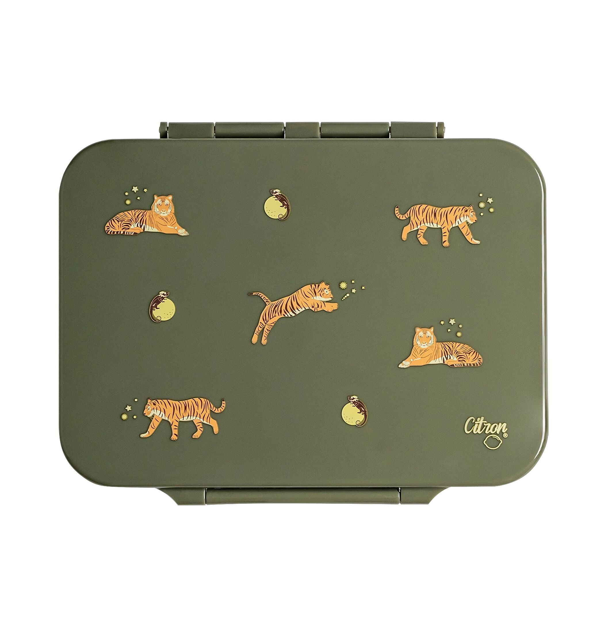 CITRON CHERRY Lunchbox - Grün / B: 21.0 cm x T: 16.5 cm x H: 5.0 cm