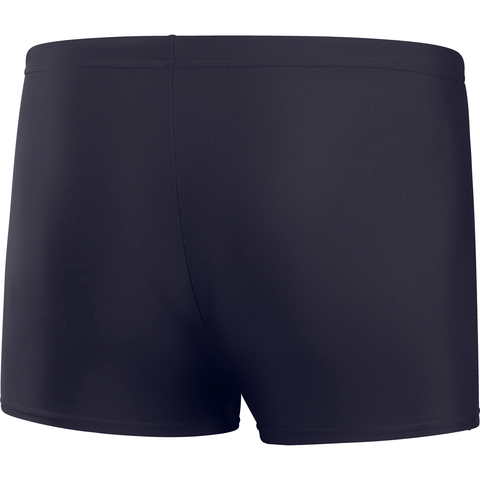 Speedo Medley Logo Aquashorts Herren true navy
