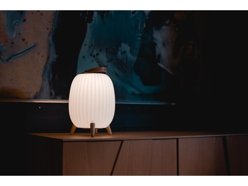 ezilight Laterne Ambiant M, Kabellose Bluetooth Musiklaterne