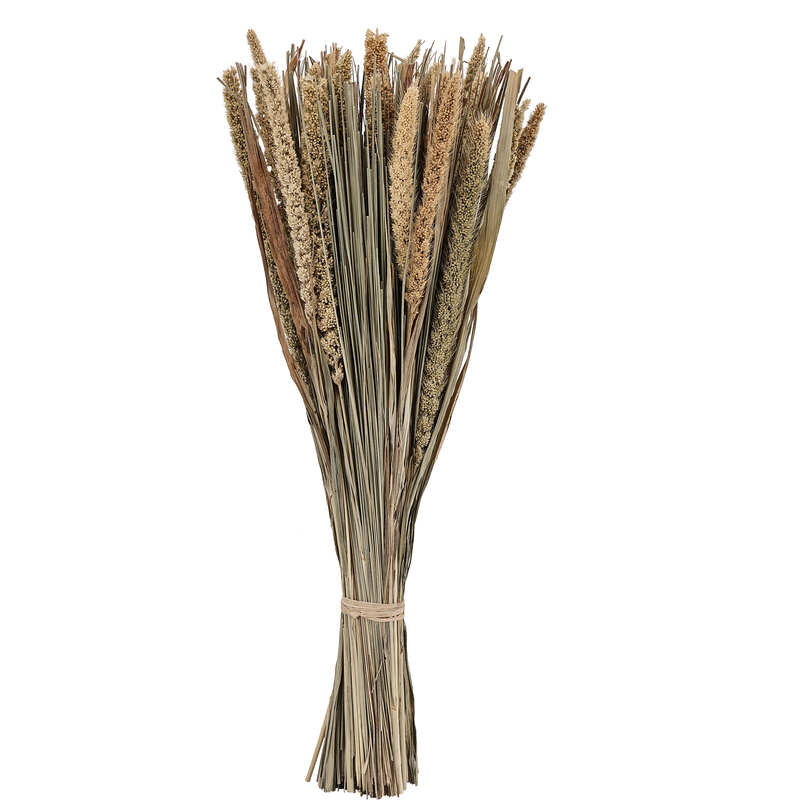 EGLO Trockenblume, 45 cm, braun