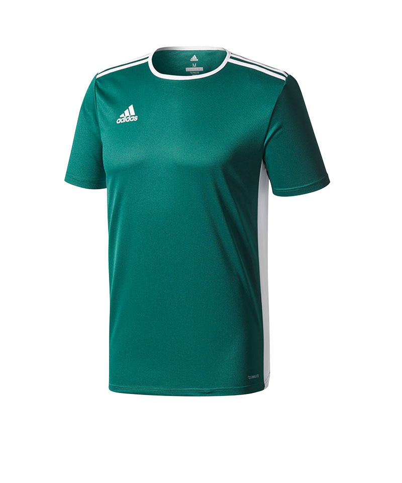 adidas Entrada 18 Trikot kurzarm Dunkelgrün