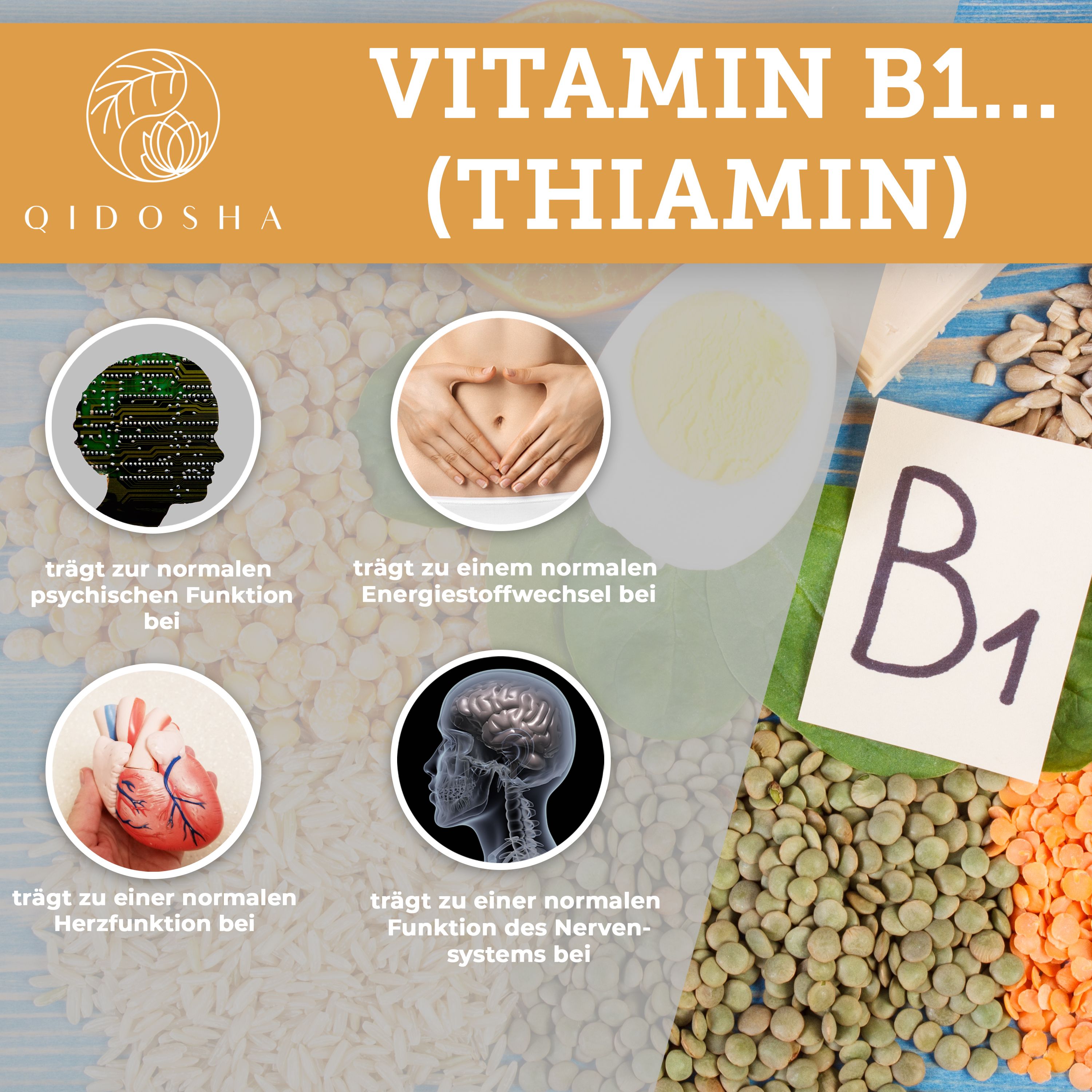 QIDOSHA Vitamin B Komplex bioaktiv mit Kofaktoren