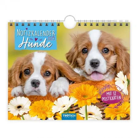 Trötsch Postkartenkalender 