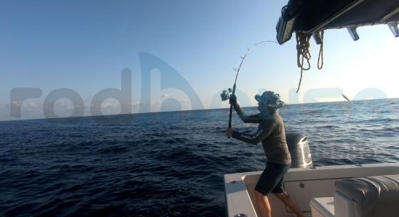 Blank TR83-ML BIG GAME 2.51m 30-80gr