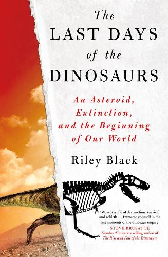 The Last Days of the Dinosaurs: An Asteroid, Extinction and the Beginning of Our World (Hardback)
