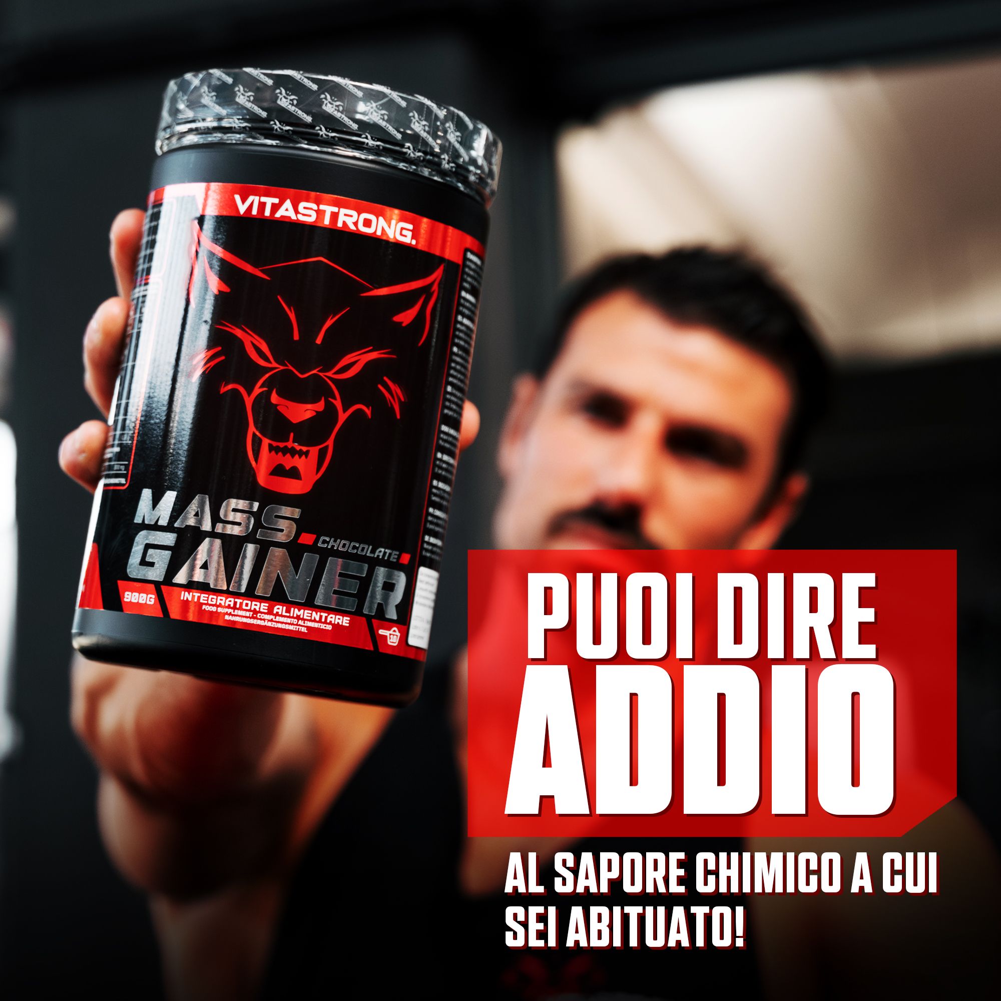 Vitastrong Mass Gainer