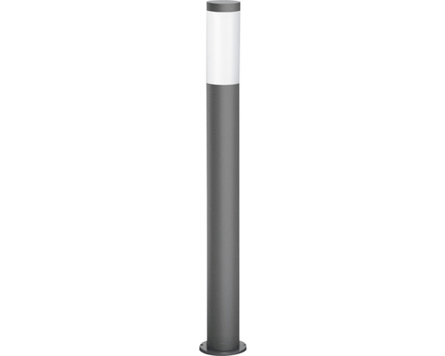 LED-padverlichting IP44 1-lichts HxB 800x120 mm Utrecht antraciet