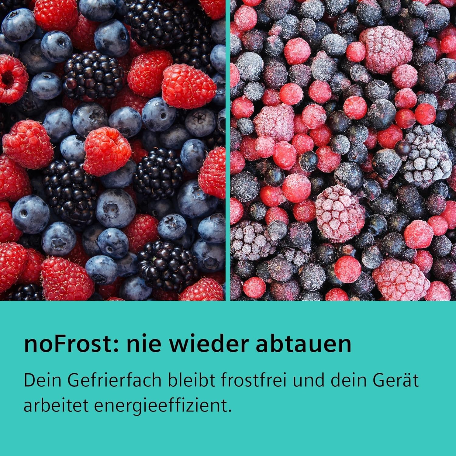 Siemens, KA95NVIEP, iQ300, Set Eintür-Kühlschrank und Eintür-Gefrierschrank, Europäischer Side by Side, hyperFresh Schublade, safetyGlas-Ablagen, noFrost, Gebürsteter Stahl mit antiFingerprint