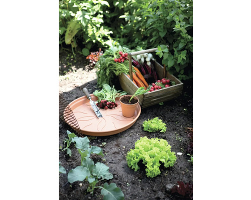 Onderzetter elho Green Basics kunststof Ø 10 H 1,5 cm terracotta