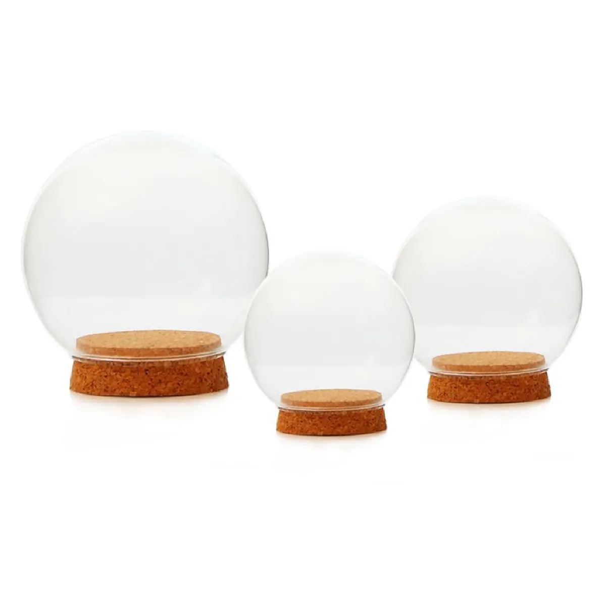 Boule de Verre Terrarium